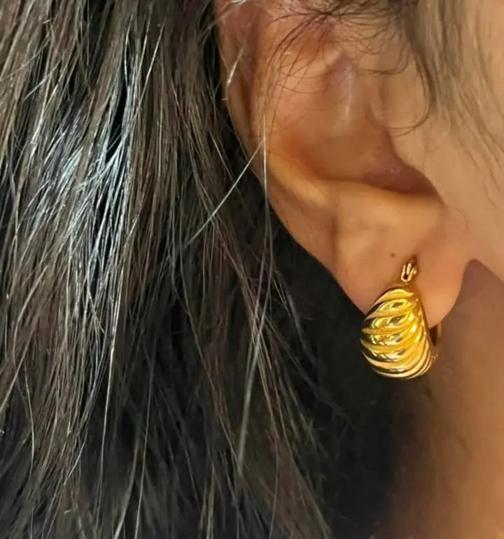 Stainless Steel Earring & Hoops